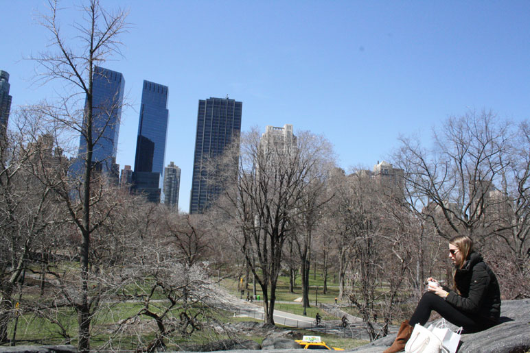 New York med Krogerup