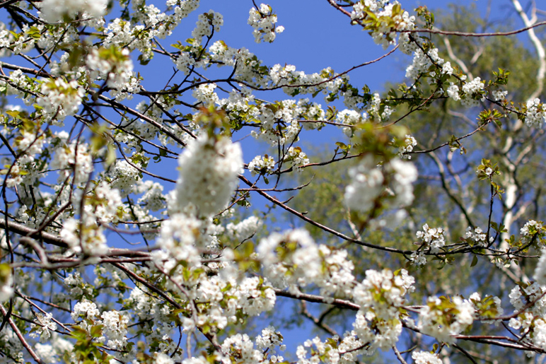 Natur slider4