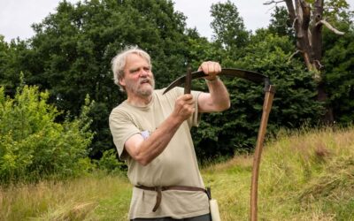 Sommerkursus om biodiversitet: Slå med le, se fugle og flagermus og forstå økosystemet i et 700 år gammelt egetræ
