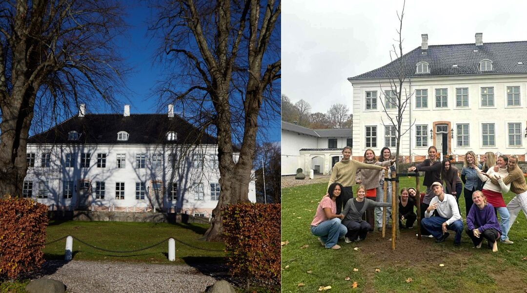 Krogerups hovedbygning igen flankeret af lindetræer