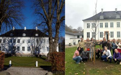 Krogerups hovedbygning igen flankeret af lindetræer