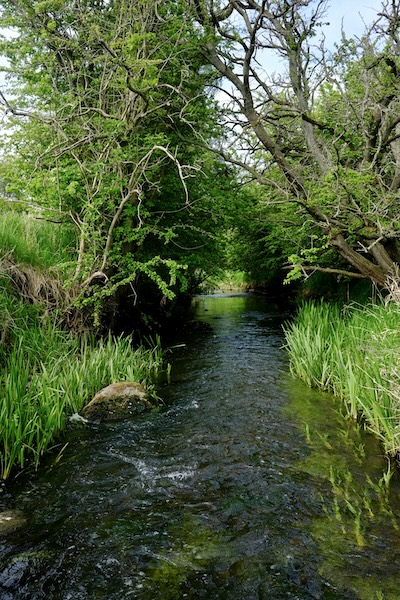 filsofi lær at undre dig