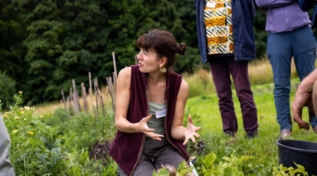 Sommerkurser på Krogerup: Fordybelse, viden og nye perspektiver