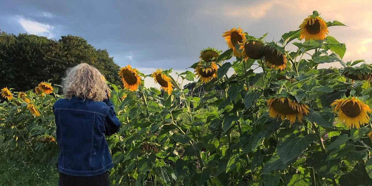 Sommerkurser på Krogerup: Fordybelse, viden og nye perspektiver