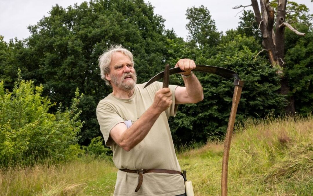 Sommerkursus om biodiversitet: Slå med le, se fugle og flagermus og forstå økosystemet i et 700 år gammelt egetræ