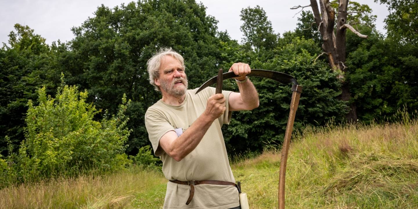 Sommerkursus om biodiversitet: Slå med le, se fugle og flagermus og forstå økosystemet i et 700 år gammelt egetræ